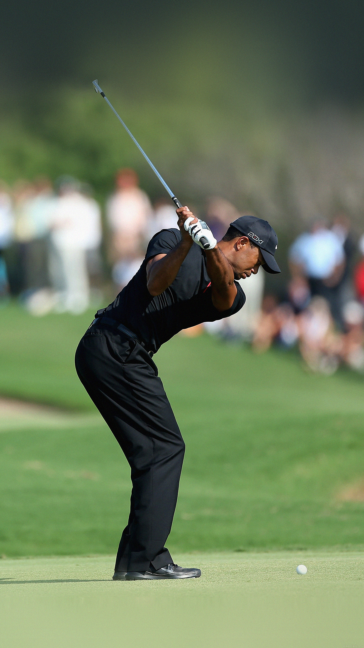 Tiger Woods Golf Mac Download